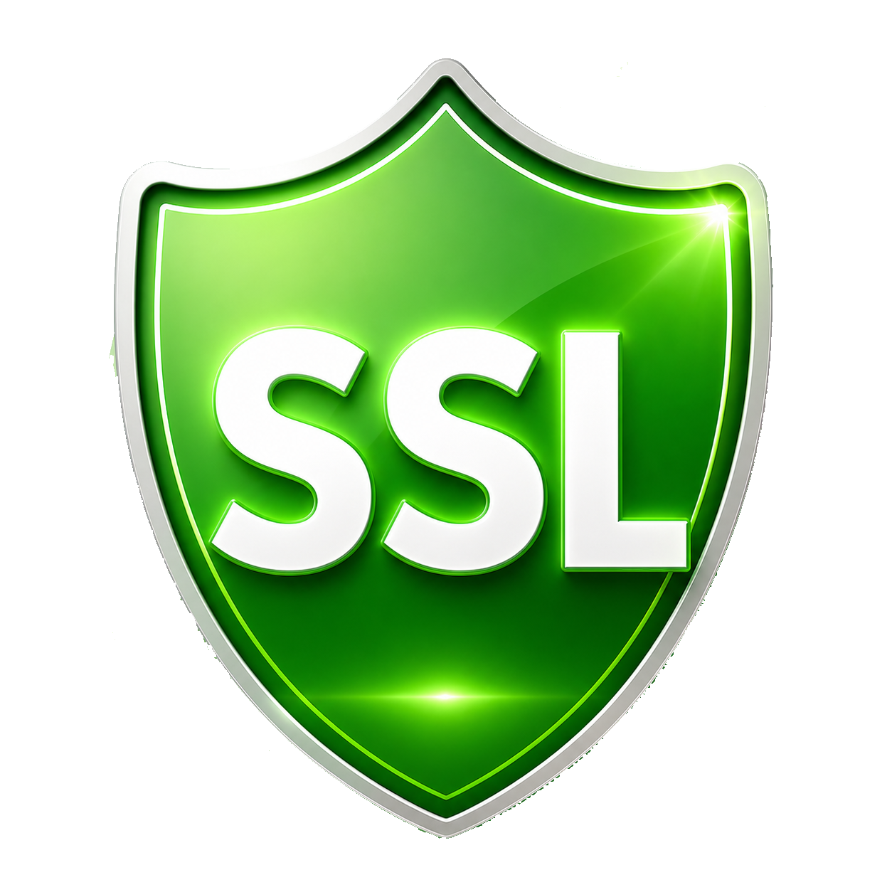 SSL Safe